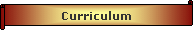 Curriculum